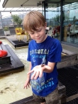 William found a snail on top of the NEMO Science Center in Amsterdam