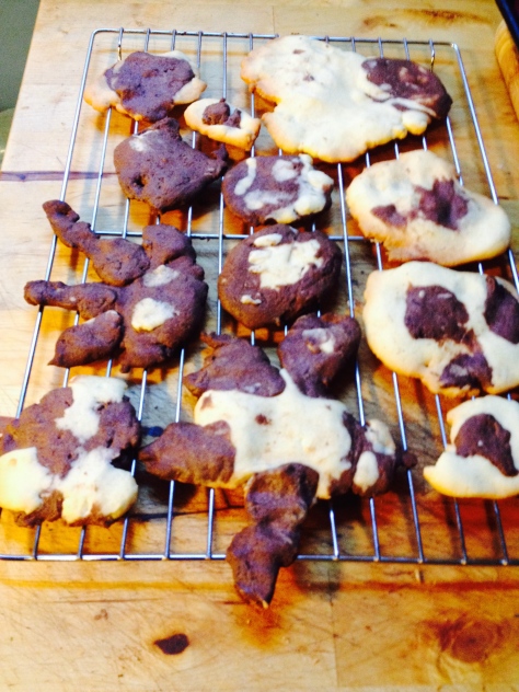 Misshapen but delicious vanilla & chocolate sugar cookies
